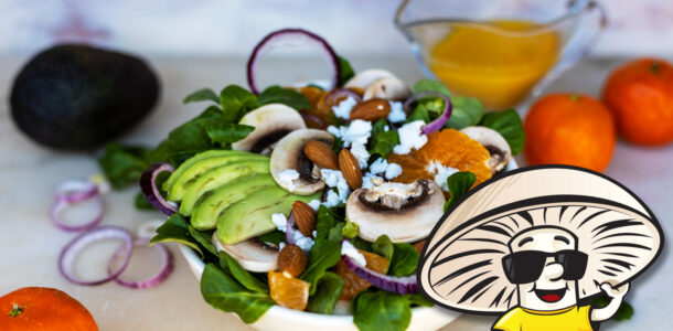 FunGuy's Clementine Avocado and Mache Salad