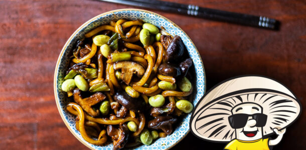 FunGuy’s Shiitake Yaki Udon Noodles