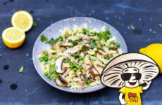 FunGuy’s Summer Lemon Tuna Noodles