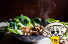 FunGuy's Lunar New Year Braised Shiitake and Bok Choy